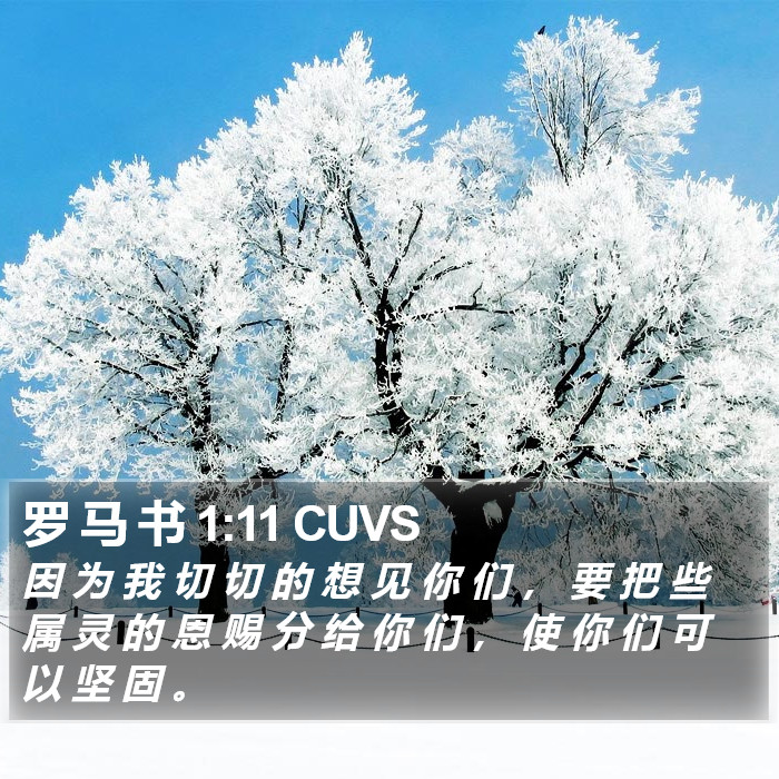 罗 马 书 1:11 CUVS Bible Study