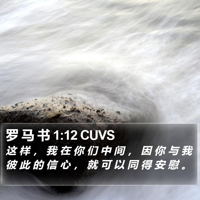 罗 马 书 1:12 CUVS Bible Study