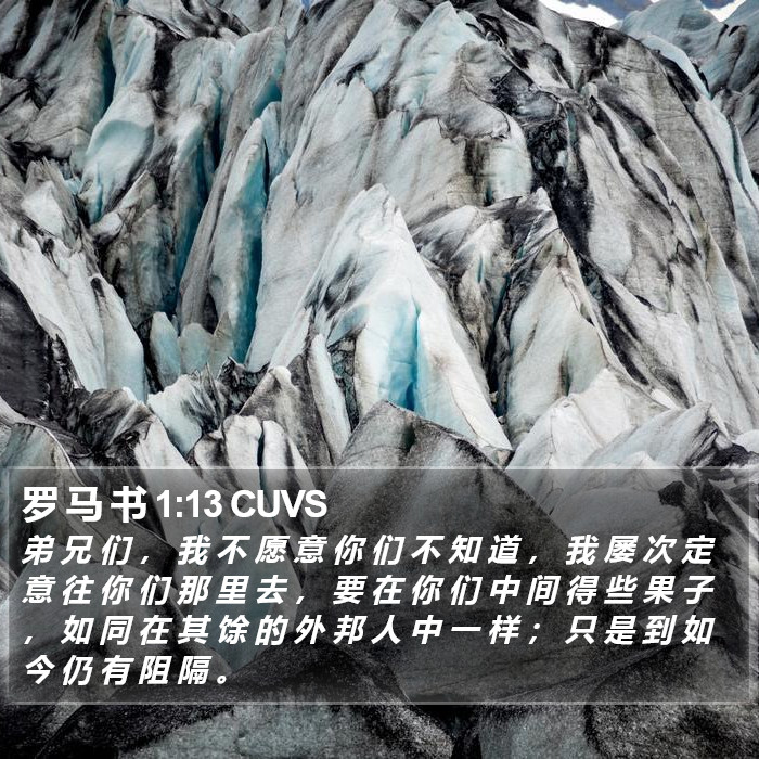 罗 马 书 1:13 CUVS Bible Study