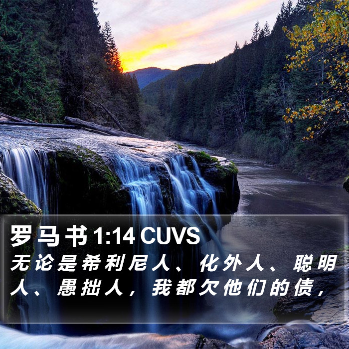 罗 马 书 1:14 CUVS Bible Study