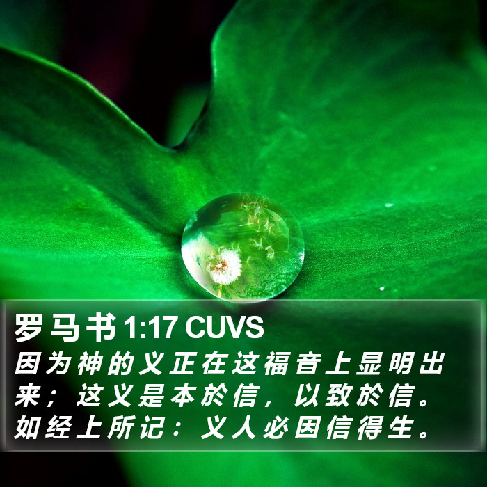 罗 马 书 1:17 CUVS Bible Study