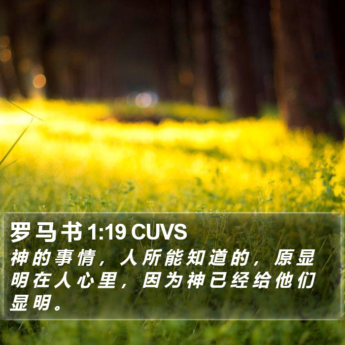 罗 马 书 1:19 CUVS Bible Study