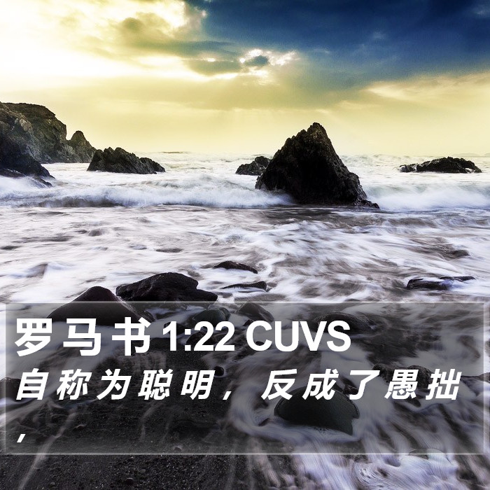 罗 马 书 1:22 CUVS Bible Study