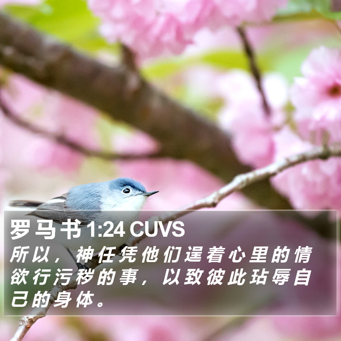 罗 马 书 1:24 CUVS Bible Study