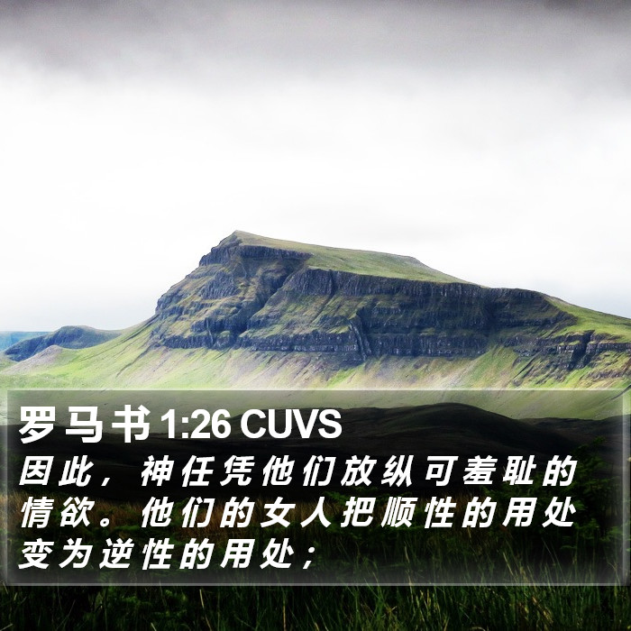 罗 马 书 1:26 CUVS Bible Study