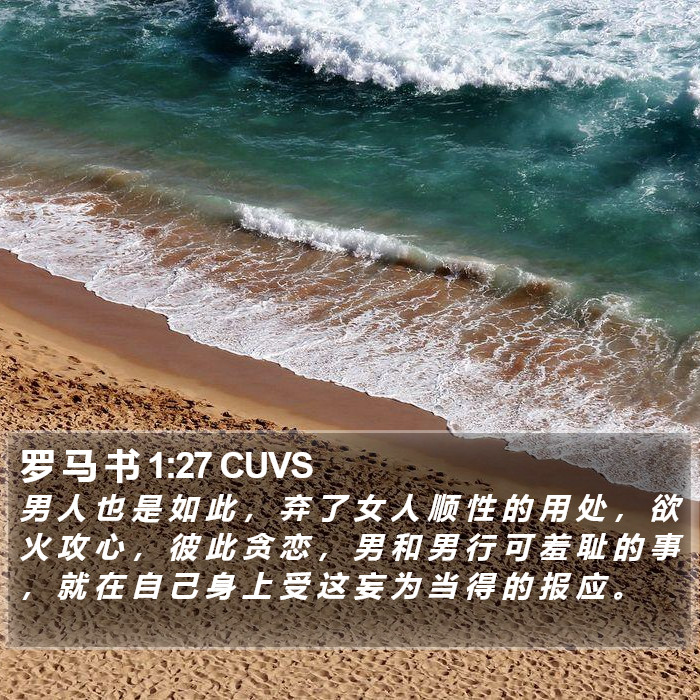 罗 马 书 1:27 CUVS Bible Study