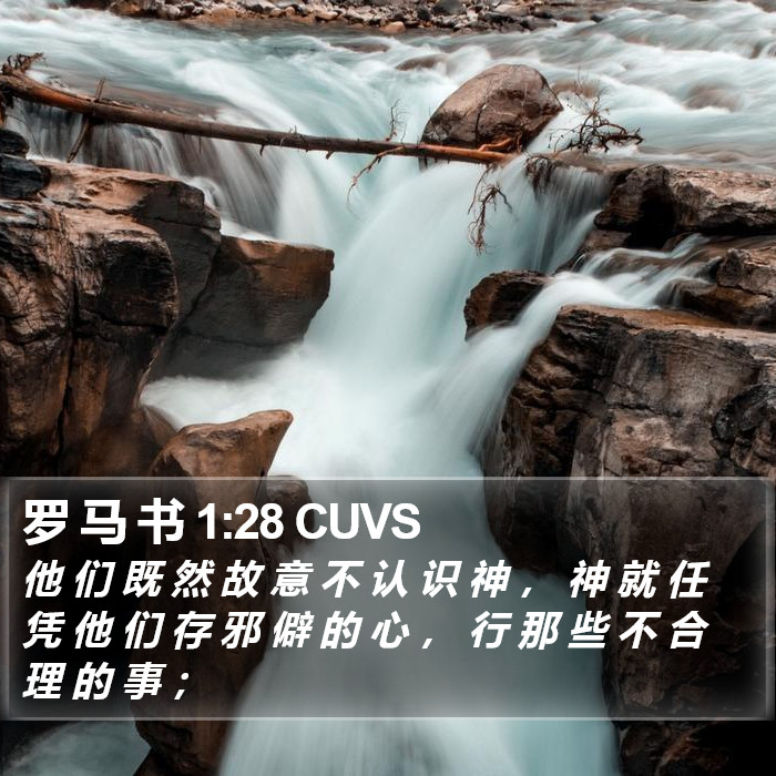 罗 马 书 1:28 CUVS Bible Study