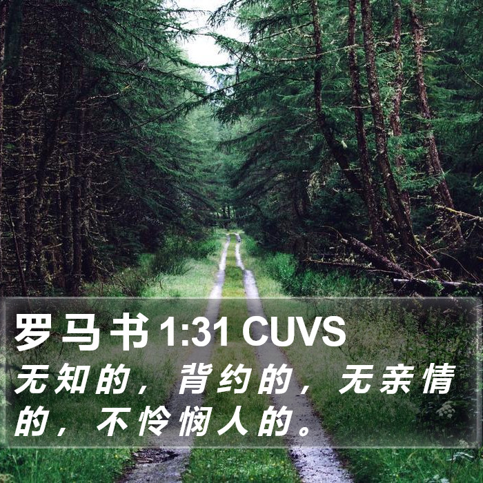 罗 马 书 1:31 CUVS Bible Study