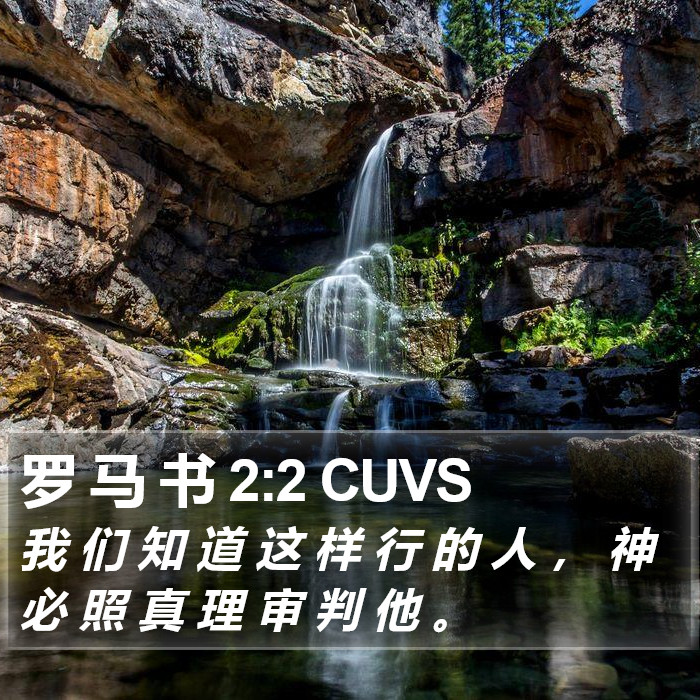 罗 马 书 2:2 CUVS Bible Study