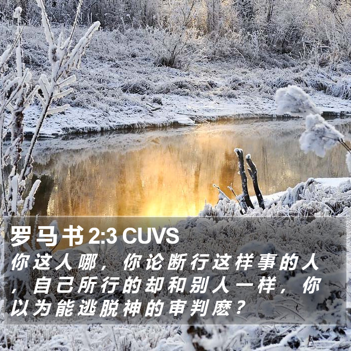 罗 马 书 2:3 CUVS Bible Study