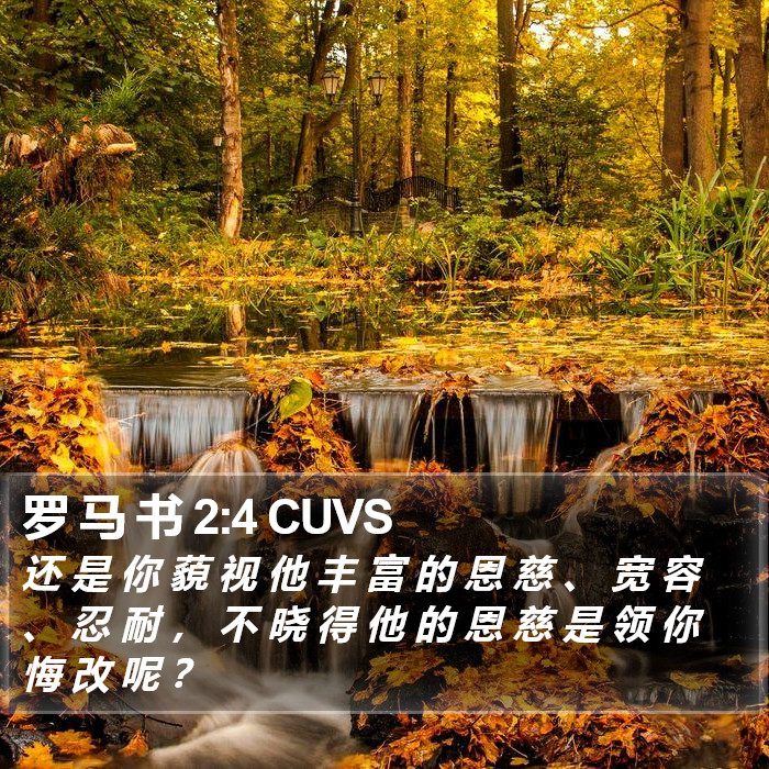 罗 马 书 2:4 CUVS Bible Study