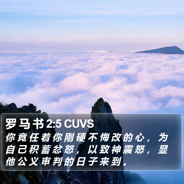 罗 马 书 2:5 CUVS Bible Study