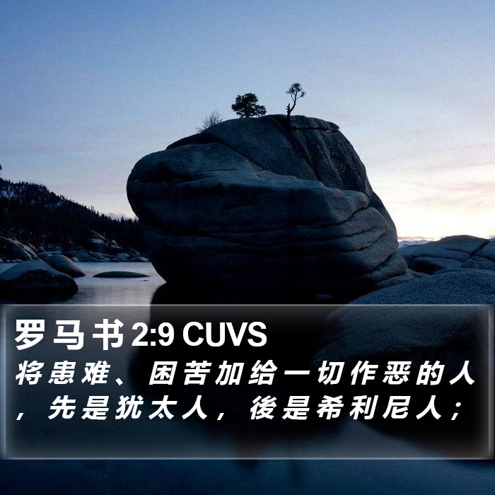 罗 马 书 2:9 CUVS Bible Study