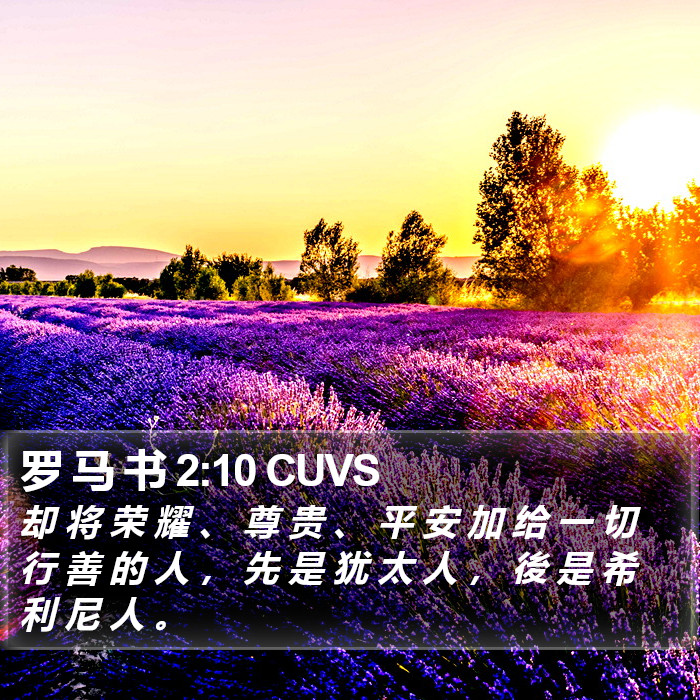 罗 马 书 2:10 CUVS Bible Study