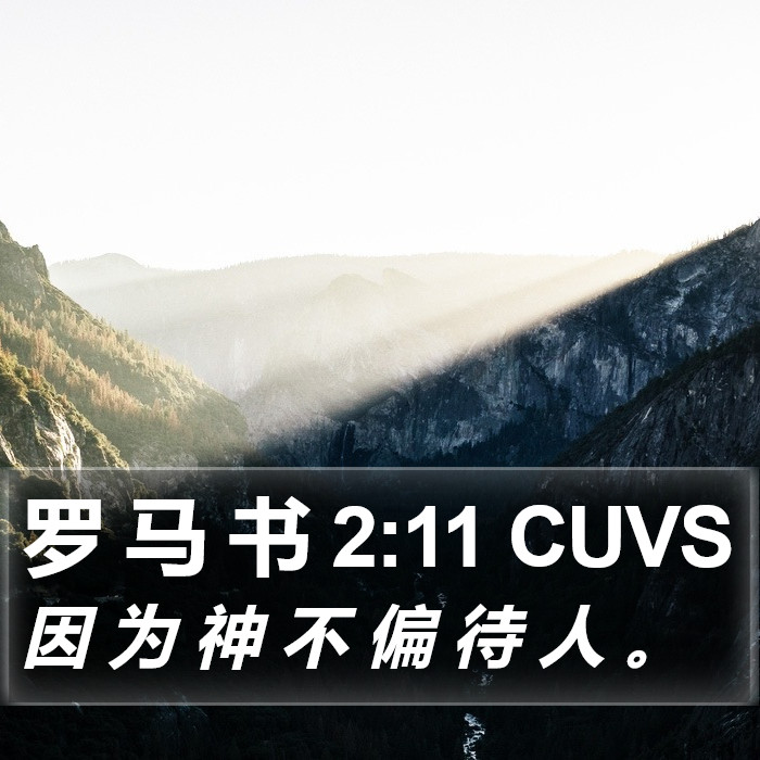 罗 马 书 2:11 CUVS Bible Study