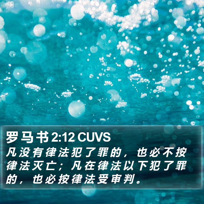 罗 马 书 2:12 CUVS Bible Study