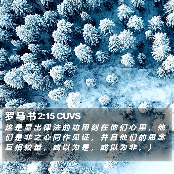 罗 马 书 2:15 CUVS Bible Study