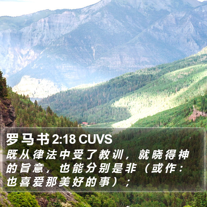 罗 马 书 2:18 CUVS Bible Study