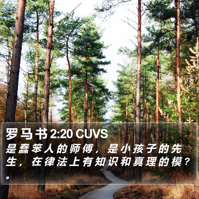 罗 马 书 2:20 CUVS Bible Study