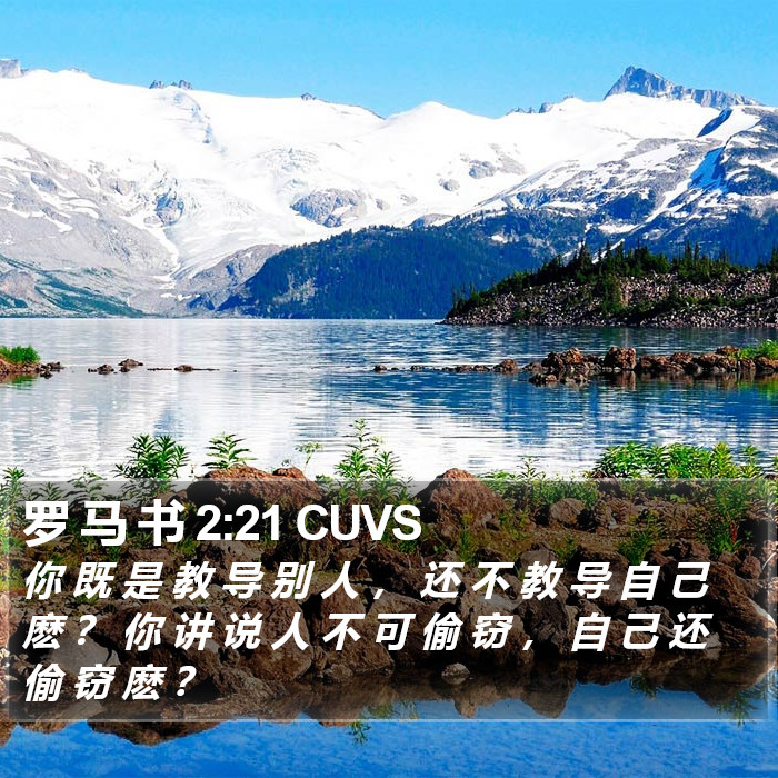 罗 马 书 2:21 CUVS Bible Study