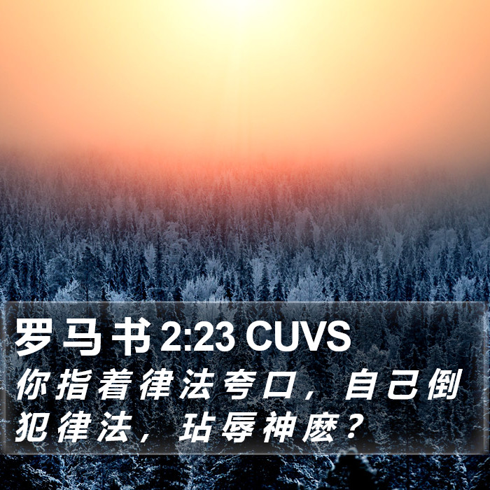 罗 马 书 2:23 CUVS Bible Study