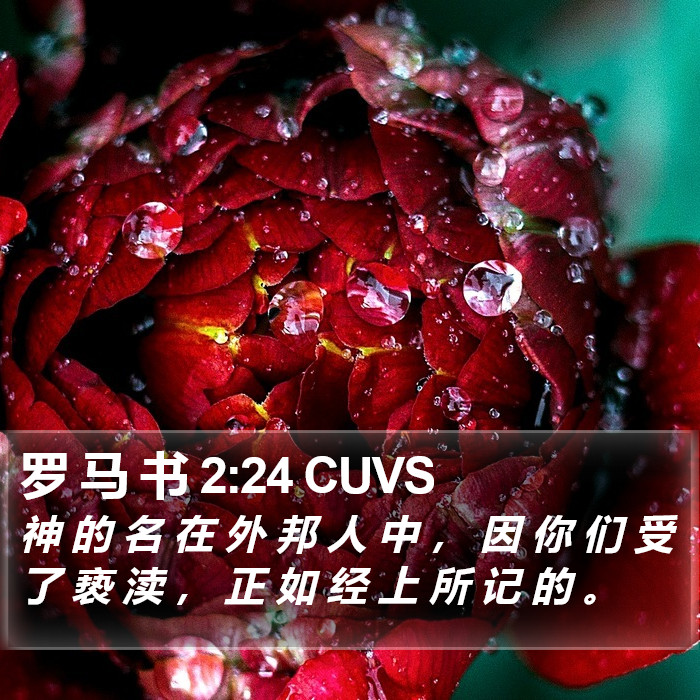 罗 马 书 2:24 CUVS Bible Study