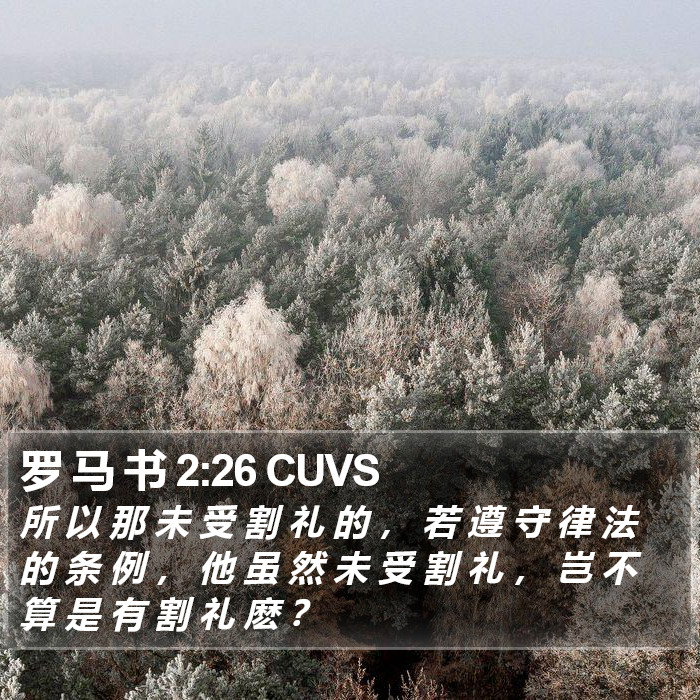 罗 马 书 2:26 CUVS Bible Study