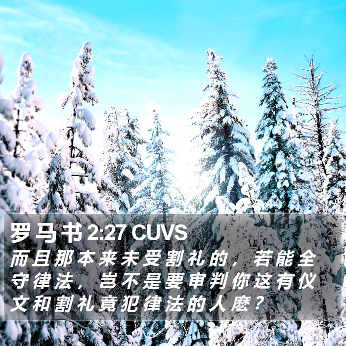 罗 马 书 2:27 CUVS Bible Study