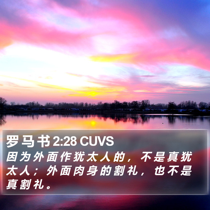 罗 马 书 2:28 CUVS Bible Study