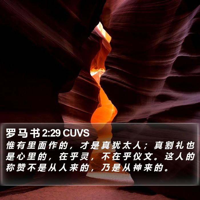 罗 马 书 2:29 CUVS Bible Study