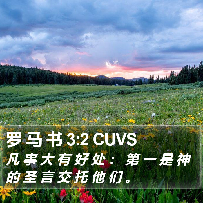 罗 马 书 3:2 CUVS Bible Study