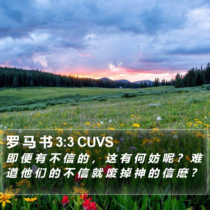 罗 马 书 3:3 CUVS Bible Study