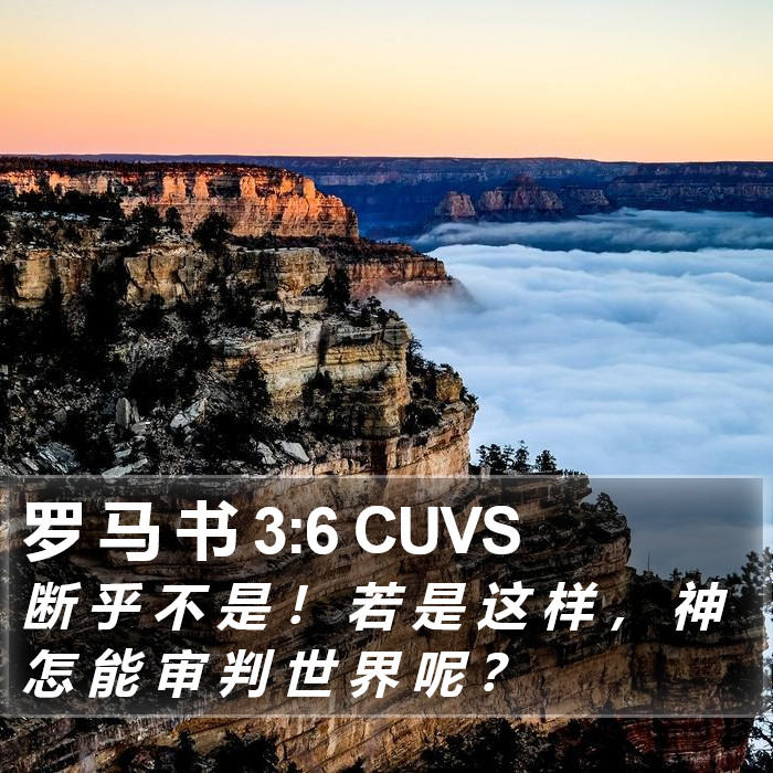 罗 马 书 3:6 CUVS Bible Study