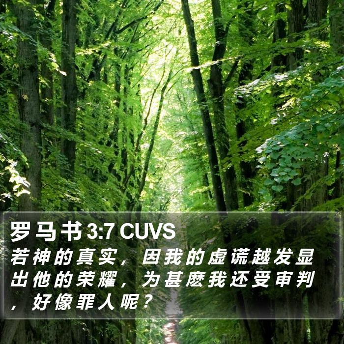 罗 马 书 3:7 CUVS Bible Study