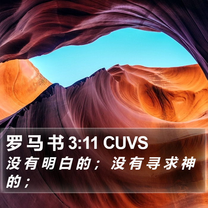 罗 马 书 3:11 CUVS Bible Study