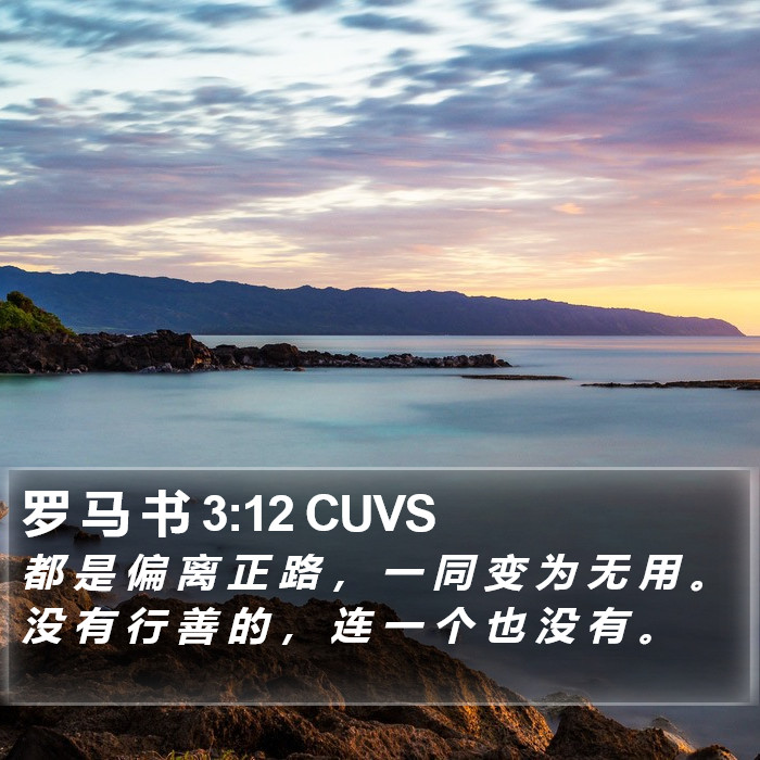 罗 马 书 3:12 CUVS Bible Study