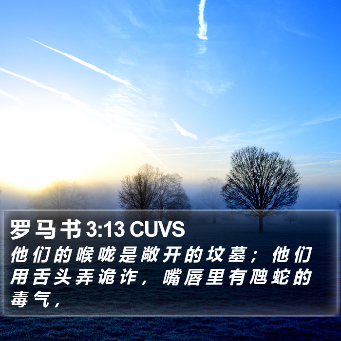 罗 马 书 3:13 CUVS Bible Study