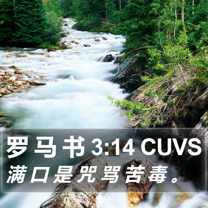 罗 马 书 3:14 CUVS Bible Study