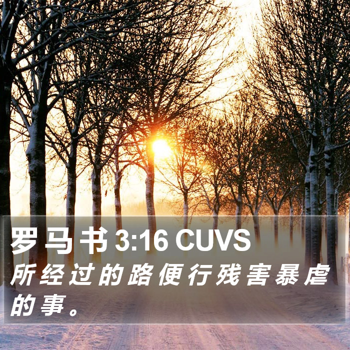 罗 马 书 3:16 CUVS Bible Study