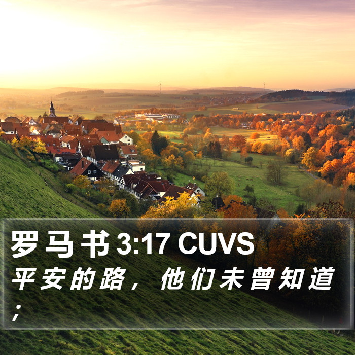 罗 马 书 3:17 CUVS Bible Study