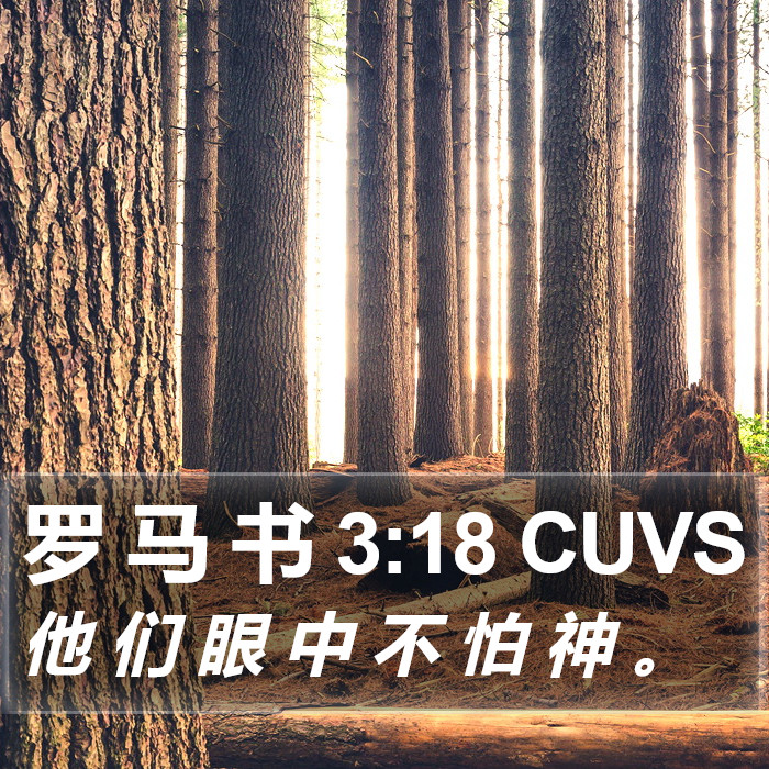 罗 马 书 3:18 CUVS Bible Study