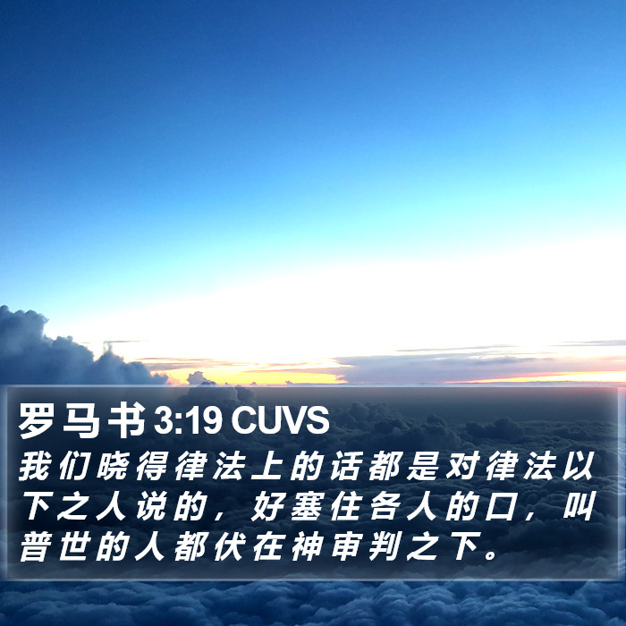 罗 马 书 3:19 CUVS Bible Study