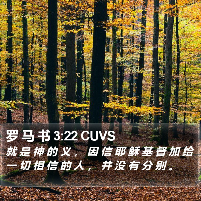 罗 马 书 3:22 CUVS Bible Study