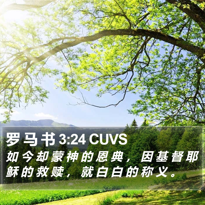 罗 马 书 3:24 CUVS Bible Study