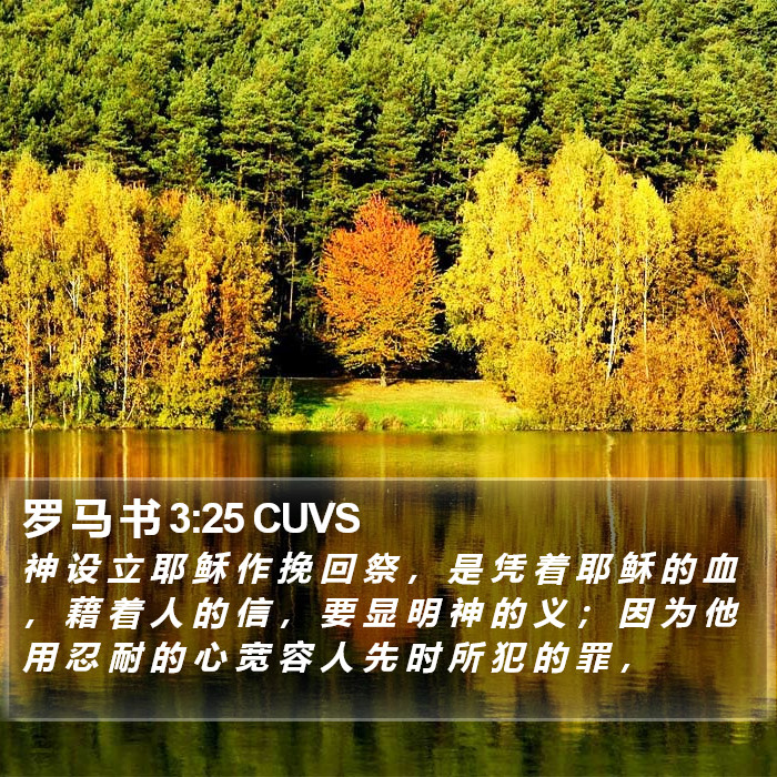 罗 马 书 3:25 CUVS Bible Study