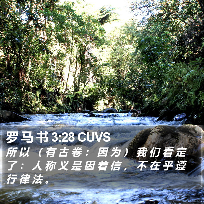 罗 马 书 3:28 CUVS Bible Study