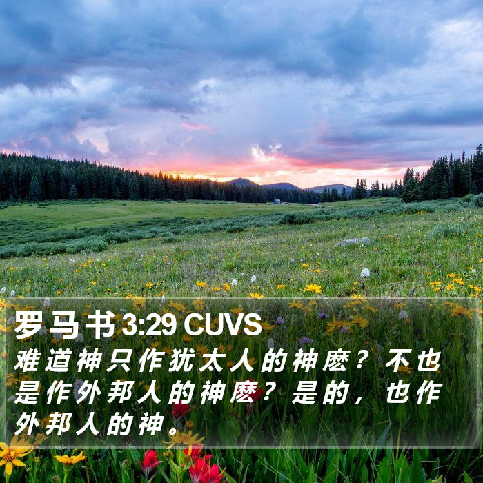 罗 马 书 3:29 CUVS Bible Study