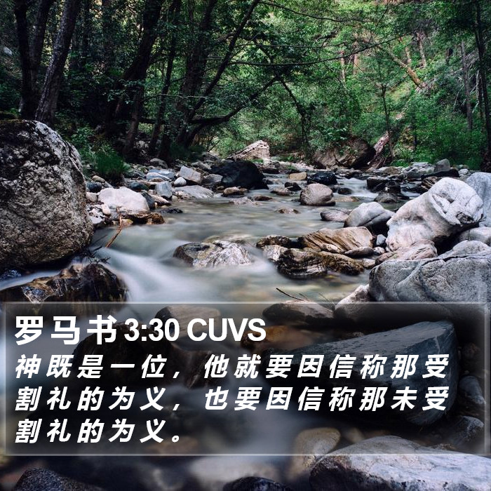 罗 马 书 3:30 CUVS Bible Study