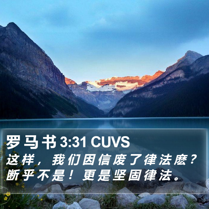 罗 马 书 3:31 CUVS Bible Study