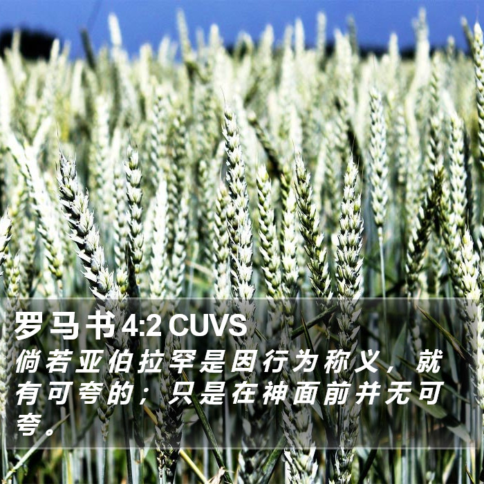 罗 马 书 4:2 CUVS Bible Study